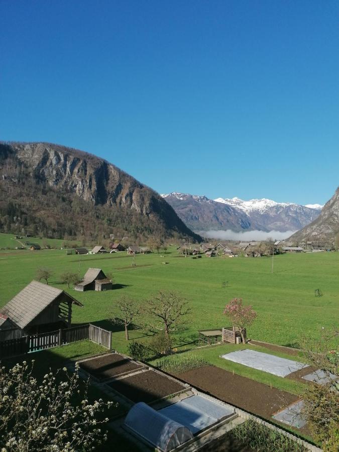 Apartment Cvetek Janez Bohinj Εξωτερικό φωτογραφία